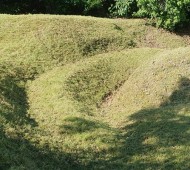 양평군 양서면 벌초대행